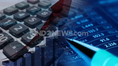8 Emiten Bakal IPO di Januari 2025, Analis Sarankan Hal ini adalah ke Pihak yang mana Berinvestasi
