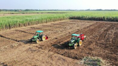 ID FOOD lakukan pengamanan aset lahan guna membantu swasembada