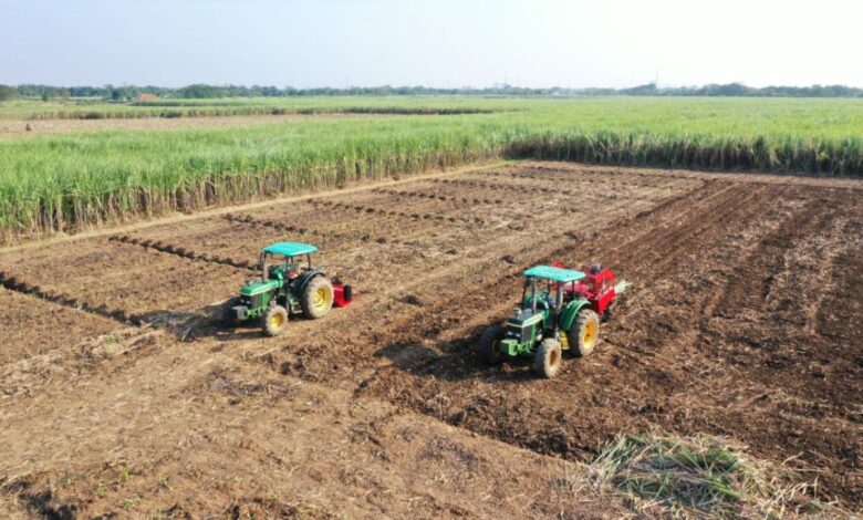 ID FOOD lakukan pengamanan aset lahan guna membantu swasembada