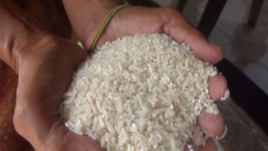 Bapanas Minta Penyerapan Beras juga juga Jagung oleh Bulog Dikawal Ketat