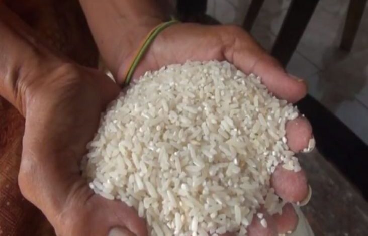 Bapanas Minta Penyerapan Beras juga juga Jagung oleh Bulog Dikawal Ketat