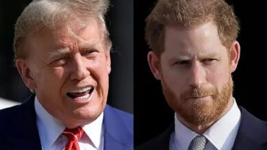 Baru Dilantik, Donald Trump Didesak Deportasi Pangeran Harry
