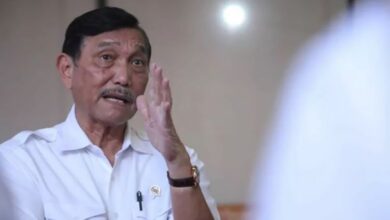 Coretax BanjirKeluhan WP, Luhut: Jangan Berkelahi, Tak Usah Dikritik, Biarkan Jalan Dulu