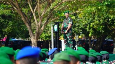 Deretan Brevet Koleksi Mayjen TNI Novi Helmy Prasetya