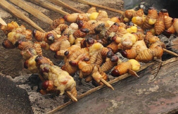 Deretan Serangga yang mana digunakan Jadi Makanan Khas Daerah pada Indonesia, Bisa Jadi Pengganti Makanan Bergizi Gratis?