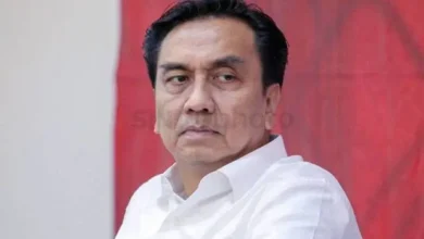Effendi Simbolon Singgung Megawati usai Hasto Tersangka: Ketua Umum juga Harus Diperbarui
