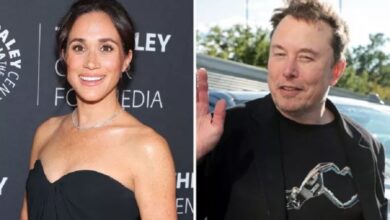 Elon Musk Kalah Populer dari Meghan Markle dalam tempat Inggris, tapi Sama-sama Tidak Disukai
