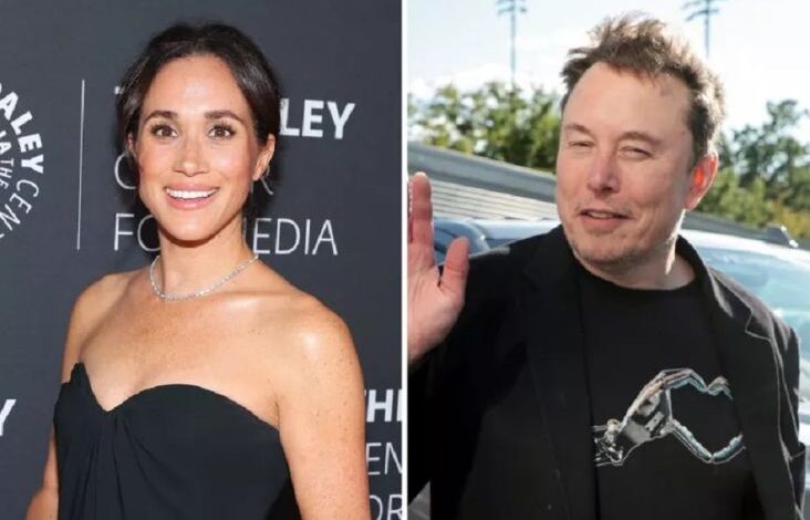 Elon Musk Kalah Populer dari Meghan Markle dalam tempat Inggris, tapi Sama-sama Tidak Disukai