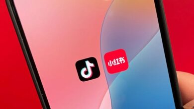 Fakta Aplikasi RedNote Calon Tangguh Pengganti TikTok