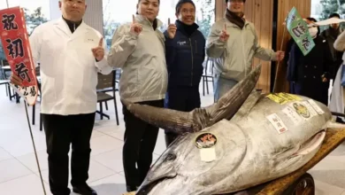 Ikan Tuna Seukuran Sepeda Motor Dijual Rp20,9 Miliar ke Kafe Sushi dalam pada Tokyo