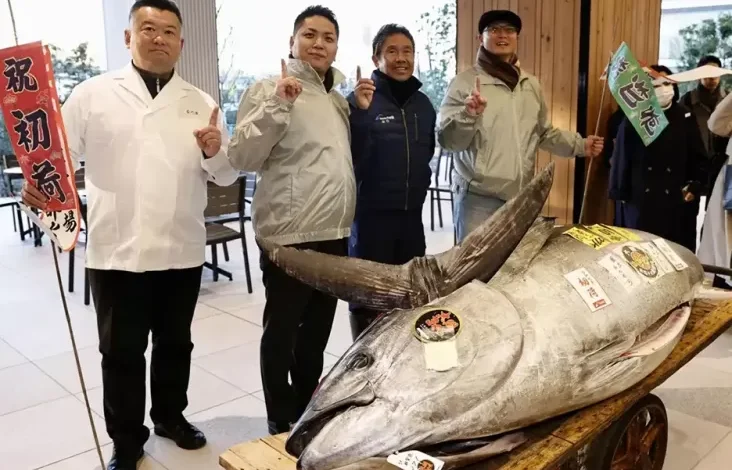Ikan Tuna Seukuran Sepeda Motor Dijual Rp20,9 Miliar ke Kafe Sushi dalam pada Tokyo