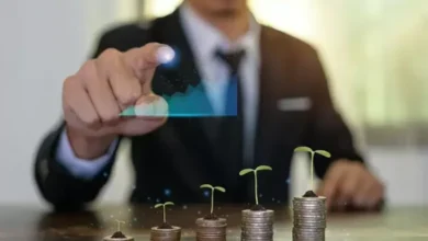 Kantongi Kepercayaan Penanaman Modal Hijau Singapura, Kadin Sodorkan Beragam Insentif
