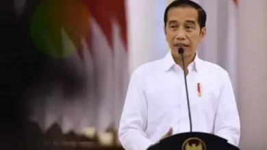 Kritisi OCCRP, Haidar Alwi Dianggap Berhasil Jaga Muruah Jokowi pada Mata Planet