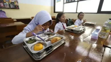 Mengintip Aneka Menu Makan Bergizi Gratis di dalam area Berbagai Daerah Indonesia