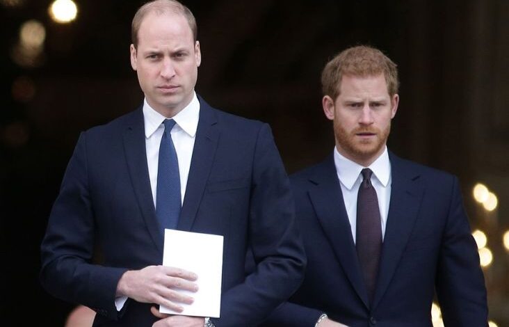 Pangeran William Siap Maafkan Harry, Beri Sinyal Akhiri Konflik
