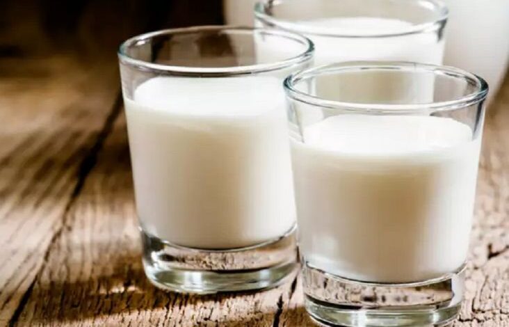 Peneliti Australia Ungkap Manfaat Susu Unta, Lebih Baik dari Sapi