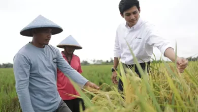 Pertamina EP Ajak Generasi Muda Kembangkan Area Pertanian