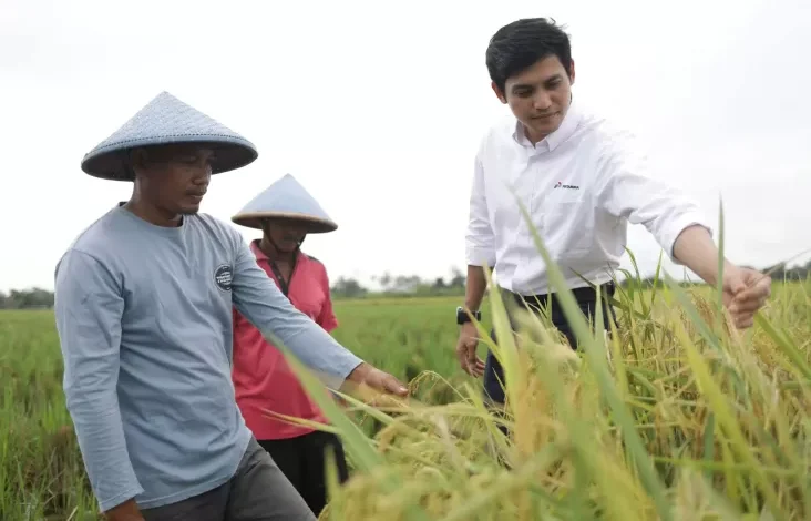 Pertamina EP Ajak Generasi Muda Kembangkan Area Pertanian