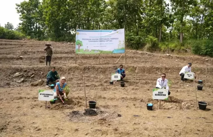 PLN EPI-Kementan Awal Rencana Sistem Pertanian Terpadu Tanaman Daya pada pada Brebes