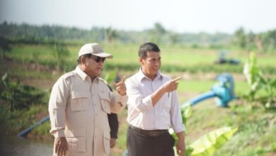 Prabowo Targetkan Sebelum 4 Tahun Swasembada Pangan