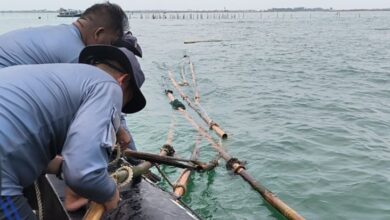PSI Apresiasi Gerak Segera Pemerintahan Prabowo Tangani Kasus Pagar Laut