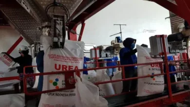 Pupuk Subsidi Sudah Bisa Ditebus, Cek Daftar Penerimanya