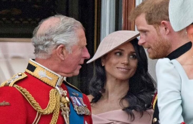 Raja Charles Beri Julukan Aneh pada Meghan Markle, Logam Langka yang mana Beracun