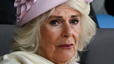 Ratu Camilla Menangis Posisinya Digantikan Putri Anne, Takut Turun Takhta?