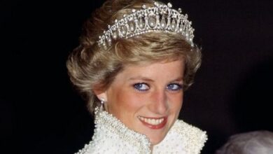 Rumah Putri Diana Tak Diwariskan ke Pangeran Harry atau William, Diserahkan pada Aktor Louis Spencer