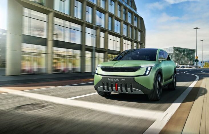 Skoda Catat 925.000 Unit Mobil Telah Diproduksi pada 2024