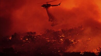 Teknologi Lanjutan Negeri Paman Sam Tidak Bisa Menaklukkan Alam yang tersebut mana Membakar California lalu LA