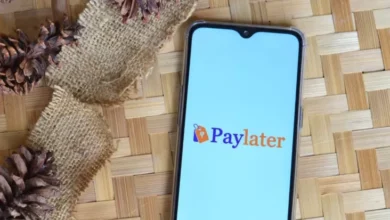 Terungkap Alasan Penggunawan Paylater Dibatasi Minimal Gaji Rp3 Juta