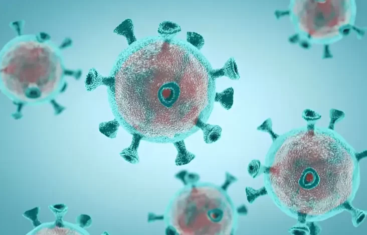 Virus HMPV Terdeteksi di tempat di Indonesia, Ini adalah adalah 5 Cara Mencegahnya