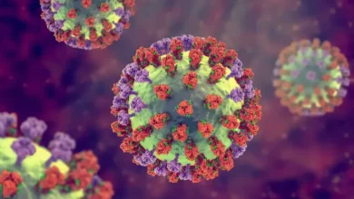 Waspada! Bayi di dalam tempat Bawah Usia 1 Tahun Berisiko Tinggi Terkena Virus HMPV