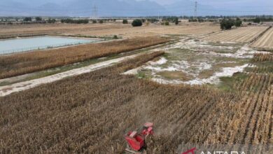 China perluas kegiatan subsidi untuk gantikan mesin pertanian usang