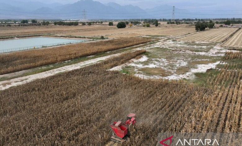China perluas kegiatan subsidi untuk gantikan mesin pertanian usang