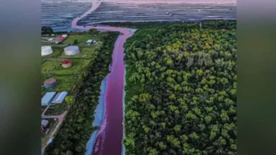 Air Kanal di area di Pusat Daerah Perkotaan Argentina Berubah Warna Menjadi Merah Darah