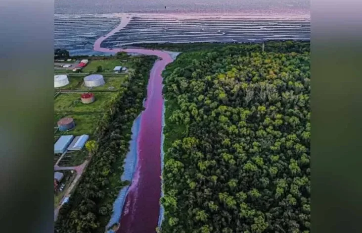 Air Kanal di area di Pusat Daerah Perkotaan Argentina Berubah Warna Menjadi Merah Darah