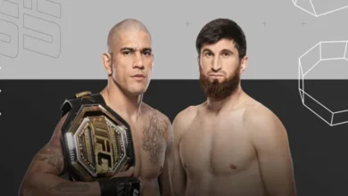 Alex Pereira vs Magomed Ankalaev pada UFC 313: Beda Persiapan Jadi Sorotan!