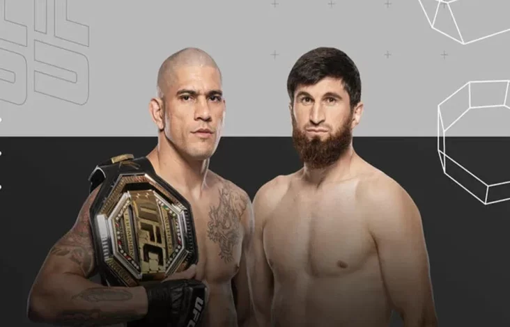 Alex Pereira vs Magomed Ankalaev pada UFC 313: Beda Persiapan Jadi Sorotan!