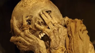 Arkeolog Pecahkan Misteri Menakutkan di Balik Kutukan Firaun