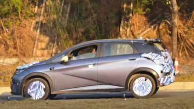 BYD Dolphin Versi Panjang Siap Dihadirkan, Hal ini Penampakannya