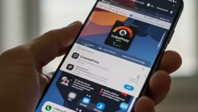Cara Menggunakan Proxy Croxyproxy, Ternyata Tidak Sulit!