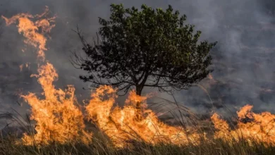 Ilmuwan Ungkap Peningkatkan Titik Panas yang digunakan dimaksud Akan Picu Kebakaran pada Asia Tenggara