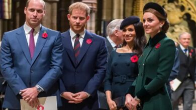 Kate Middleton Diminta Tidak Ikut Campur Hambatan Pangeran William kemudian Harry