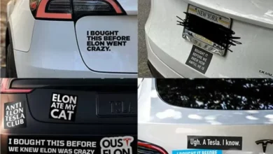 Kontroversi Elon Musk Bikin Penggunawan Tesla Menyesal? Hal ini adalah Faktanya!