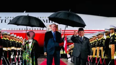 Kunjungi Istana Bogor, Hal ini Agenda Erdogan di tempat area Indonesia
