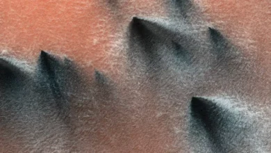Mars vs Bumi: Perbandingan Keunikan juga Misteri pada Dua Planet