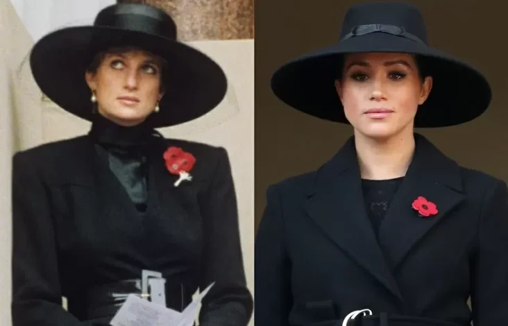 Meghan Markle Terinsipirasi Pekerjaan Kerajaan Putri Diana, tapi Banyak yang tersebut digunakan Tidak Dikerjakan
