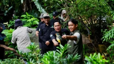Menhut Berjumpa Irfan Hakim, Diskusikan Aksi Sayangi dan juga juga Lestarikan Satwa Indonesia